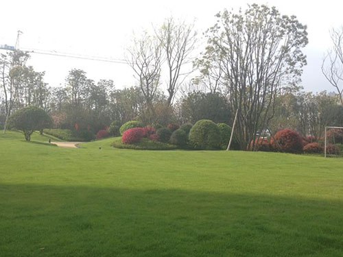 園林景觀設(shè)計(jì)