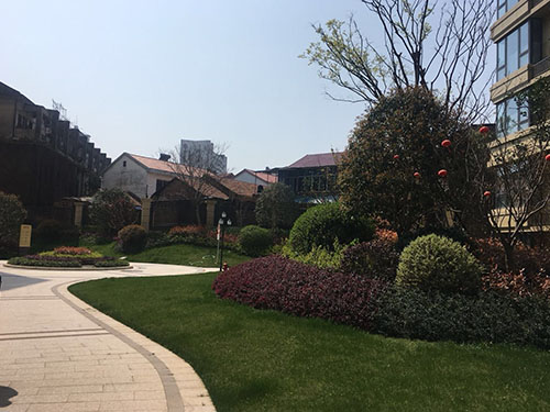 園林景觀設(shè)計(jì)