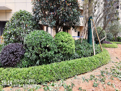 園林施工現場23