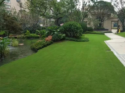 園林綠化工程施工，園林綠化養(yǎng)護(hù)，別墅庭院綠化