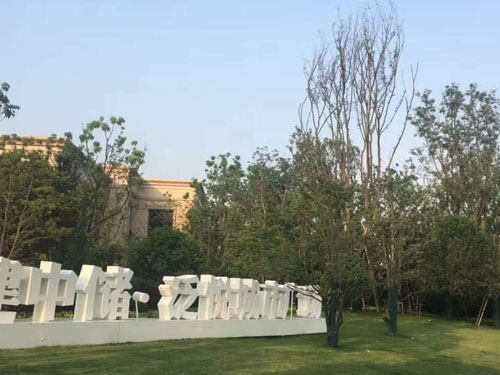 園林綠化工程施工，園林綠化養護，別墅庭院綠化