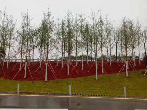 園林綠化工程施工，園林綠化養(yǎng)護(hù)，別墅庭院綠化