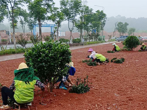 園林綠化工程施工，園林綠化養護，別墅庭院綠化