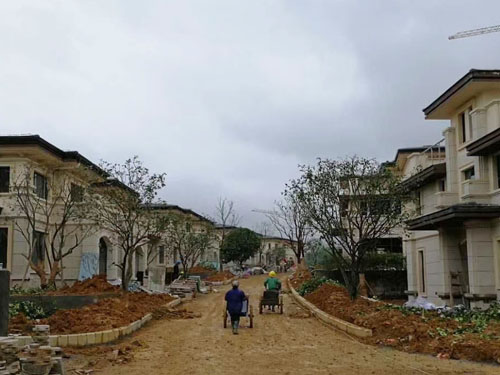 園林綠化工程施工，園林綠化養護，別墅庭院綠化