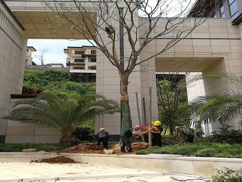 園林綠化工程施工，園林綠化養護，別墅庭院綠化