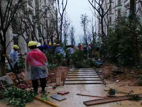 園林綠化工程施工，園林綠化養護，別墅庭院綠化