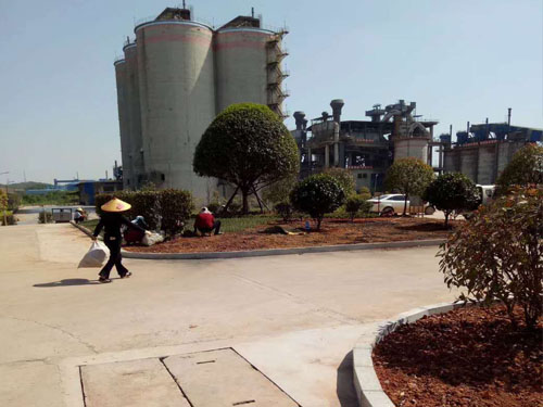 園林綠化工程施工，園林綠化養護，別墅庭院綠化