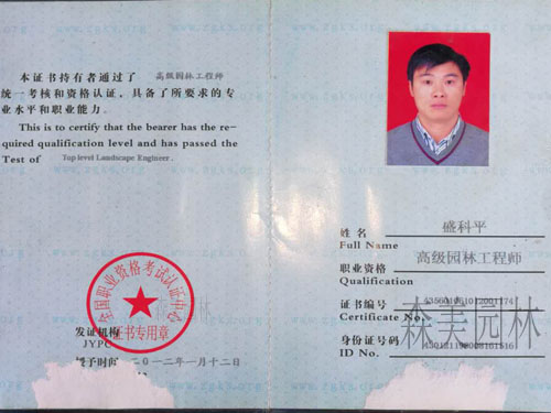 園林綠化工程施工，園林綠化養護，別墅庭院綠化